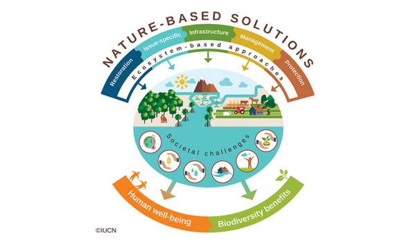 nbs-nature-based-solutions