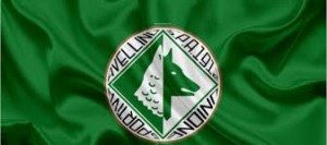 avellino